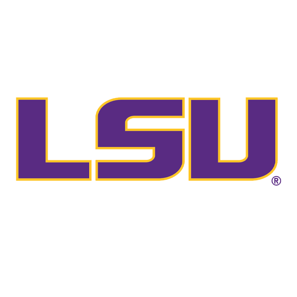 Louisiana State Keychain: Handcrafted Embroidered Souvenir to 